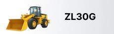 ZL30G